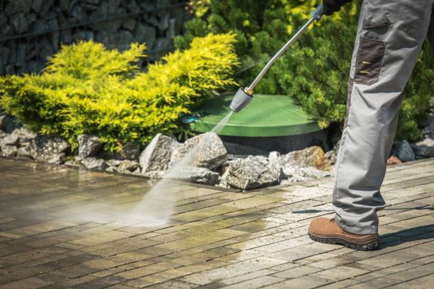 Best Building Exterior Washing  in Miami Lakes, FL
