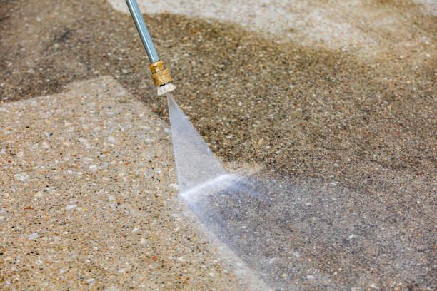 Best Gutter Cleaning  in Miami Lakes, FL